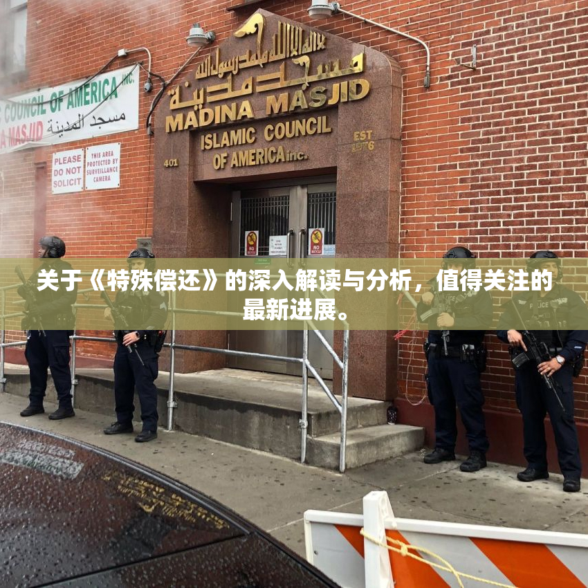 关于《特殊偿还》的深入解读与分析，值得关注的最新进展。