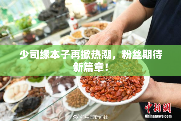 少司缘本子再掀热潮，粉丝期待新篇章！