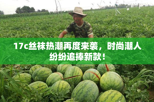 17c丝袜热潮再度来袭，时尚潮人纷纷追捧新款！