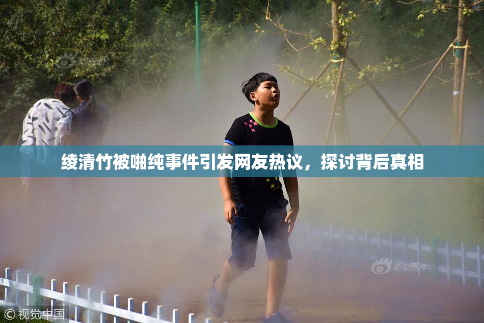 绫清竹被啪纯事件引发网友热议，探讨背后真相