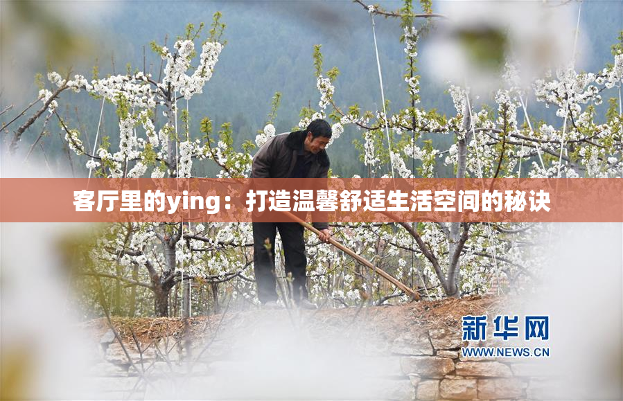 客厅里的ying：打造温馨舒适生活空间的秘诀