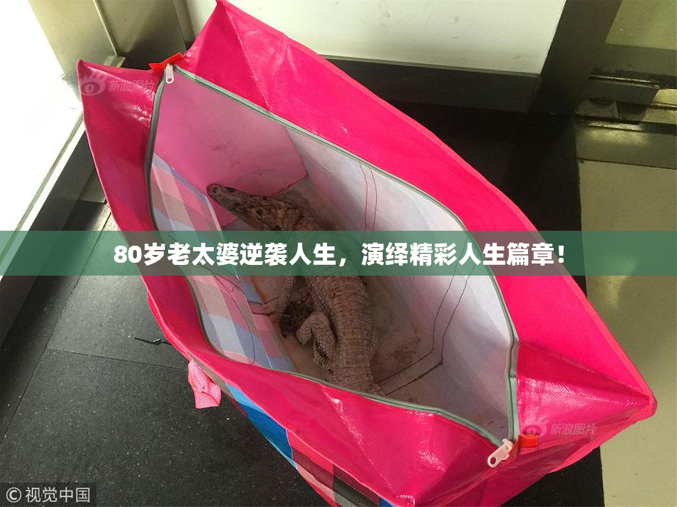 80岁老太婆逆袭人生，演绎精彩人生篇章！