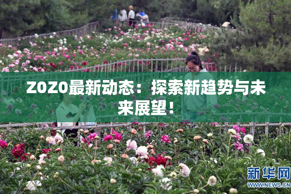 Z0Z0最新动态：探索新趋势与未来展望！