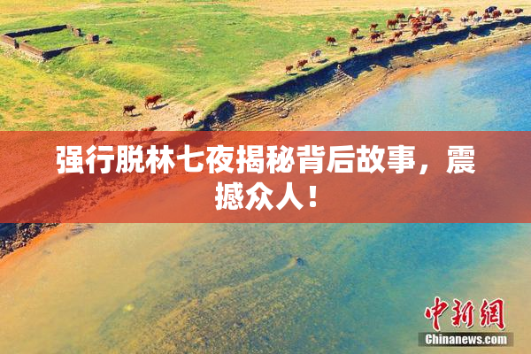 强行脱林七夜揭秘背后故事，震撼众人！