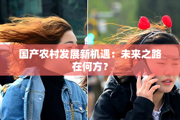 国产农村发展新机遇：未来之路在何方？