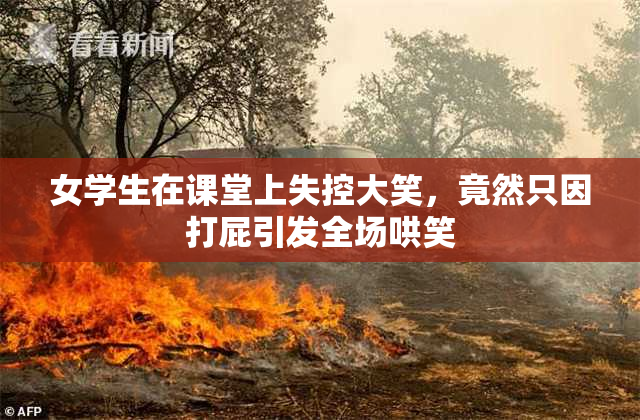 女学生在课堂上失控大笑，竟然只因打屁引发全场哄笑