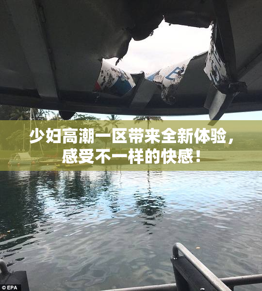少妇高潮一区带来全新体验，感受不一样的快感！