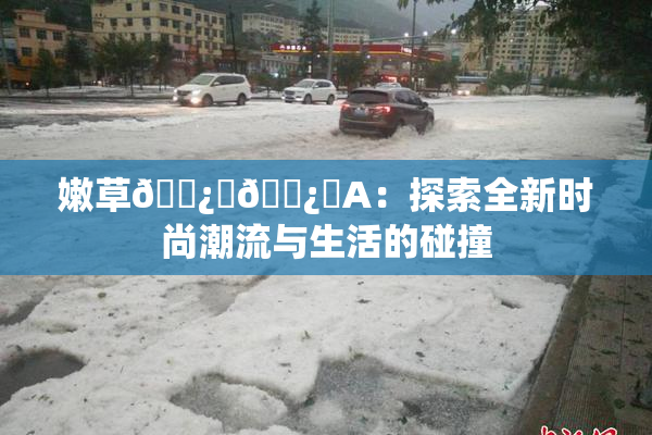 嫩草🌿‌🌿‌A：探索全新时尚潮流与生活的碰撞