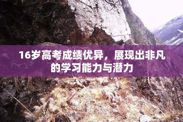 16岁高考成绩优异，展现出非凡的学习能力与潜力