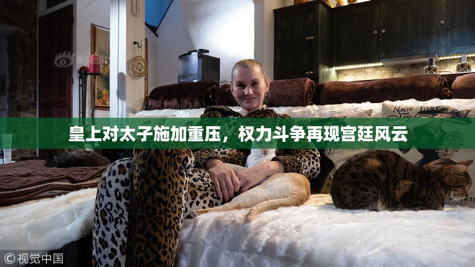 皇上对太子施加重压，权力斗争再现宫廷风云