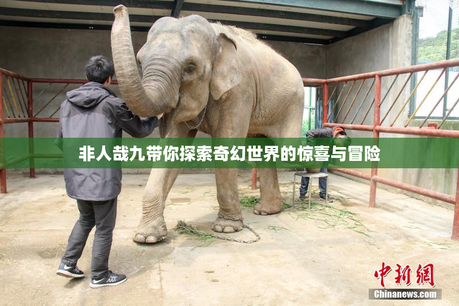 非人哉九带你探索奇幻世界的惊喜与冒险