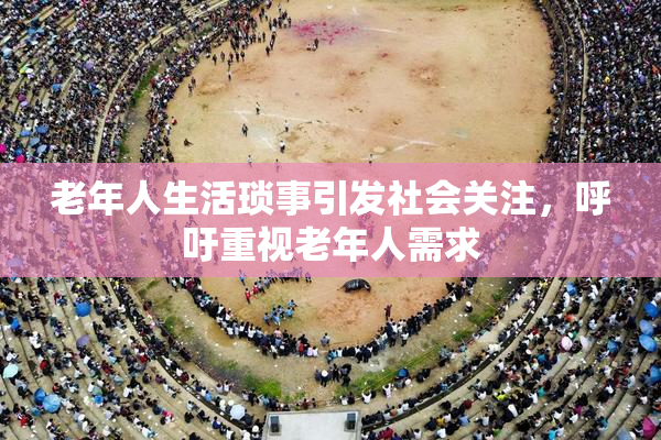老年人生活琐事引发社会关注，呼吁重视老年人需求