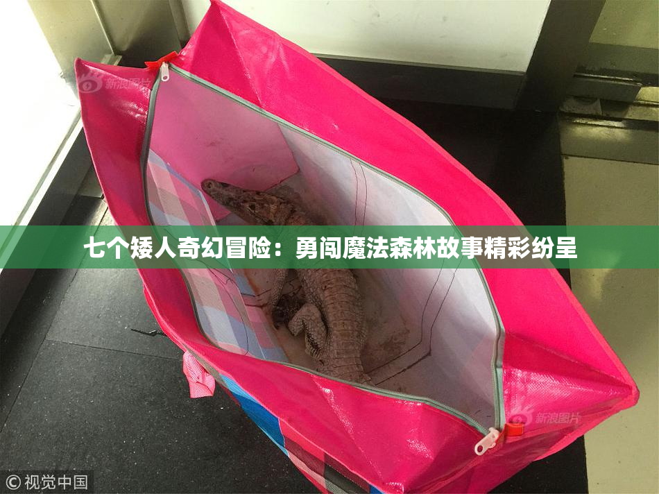 七个矮人奇幻冒险：勇闯魔法森林故事精彩纷呈