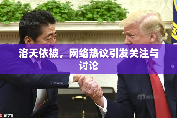 洛天依被，网络热议引发关注与讨论