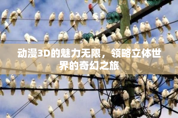 动漫3D的魅力无限，领略立体世界的奇幻之旅