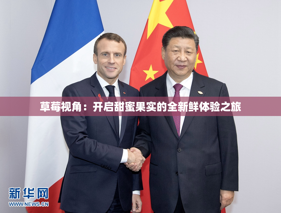 草莓视角：开启甜蜜果实的全新鲜体验之旅