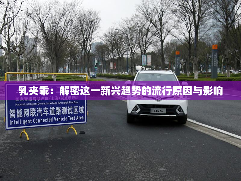 乳夹乖：解密这一新兴趋势的流行原因与影响
