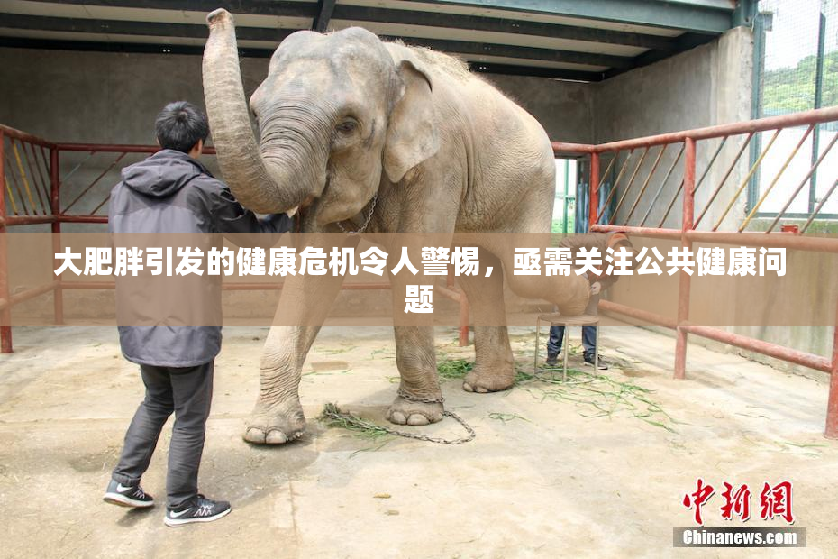 大肥胖引发的健康危机令人警惕，亟需关注公共健康问题