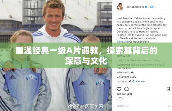 重温经典一级A片调教，探索其背后的深意与文化
