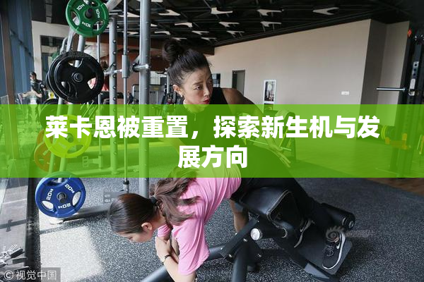 莱卡恩被重置，探索新生机与发展方向
