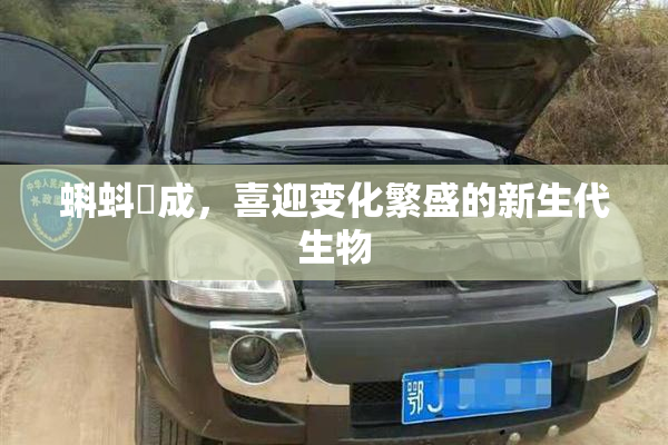 蝌蚪窉成，喜迎变化繁盛的新生代生物