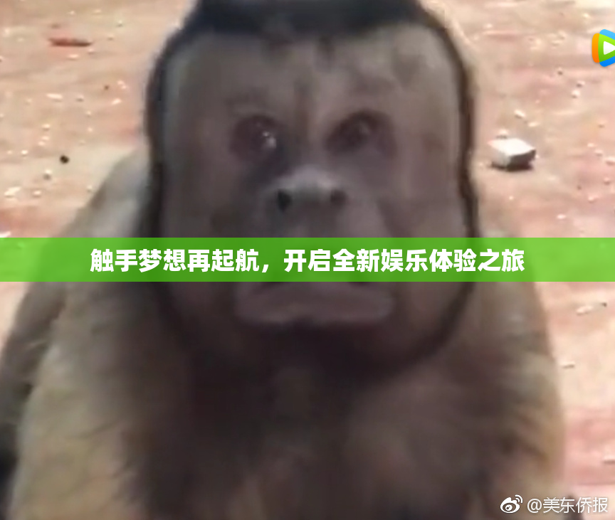 触手梦想再起航，开启全新娱乐体验之旅
