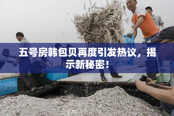 五号房韩包贝再度引发热议，揭示新秘密！