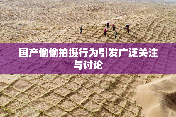 国产偷偷拍摄行为引发广泛关注与讨论