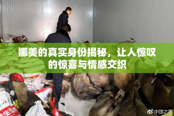 娜美的真实身份揭秘，让人惊叹的惊喜与情感交织