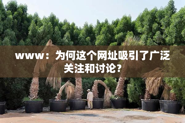 www：为何这个网址吸引了广泛关注和讨论？