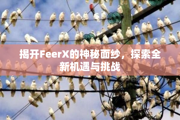 揭开FeerX的神秘面纱，探索全新机遇与挑战