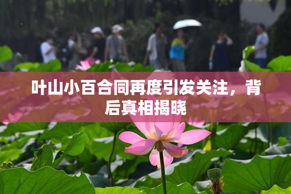 叶山小百合同再度引发关注，背后真相揭晓