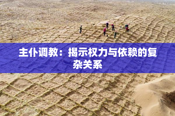主仆调教：揭示权力与依赖的复杂关系