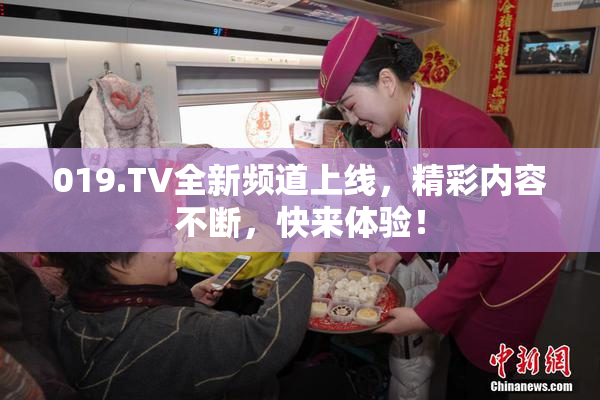 019.TV全新频道上线，精彩内容不断，快来体验！