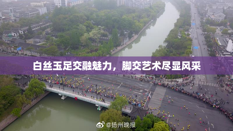 白丝玉足交融魅力，脚交艺术尽显风采