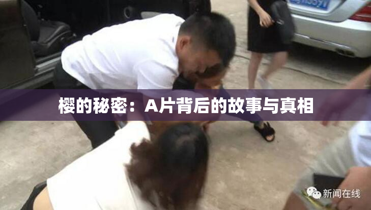 樱的秘密：A片背后的故事与真相
