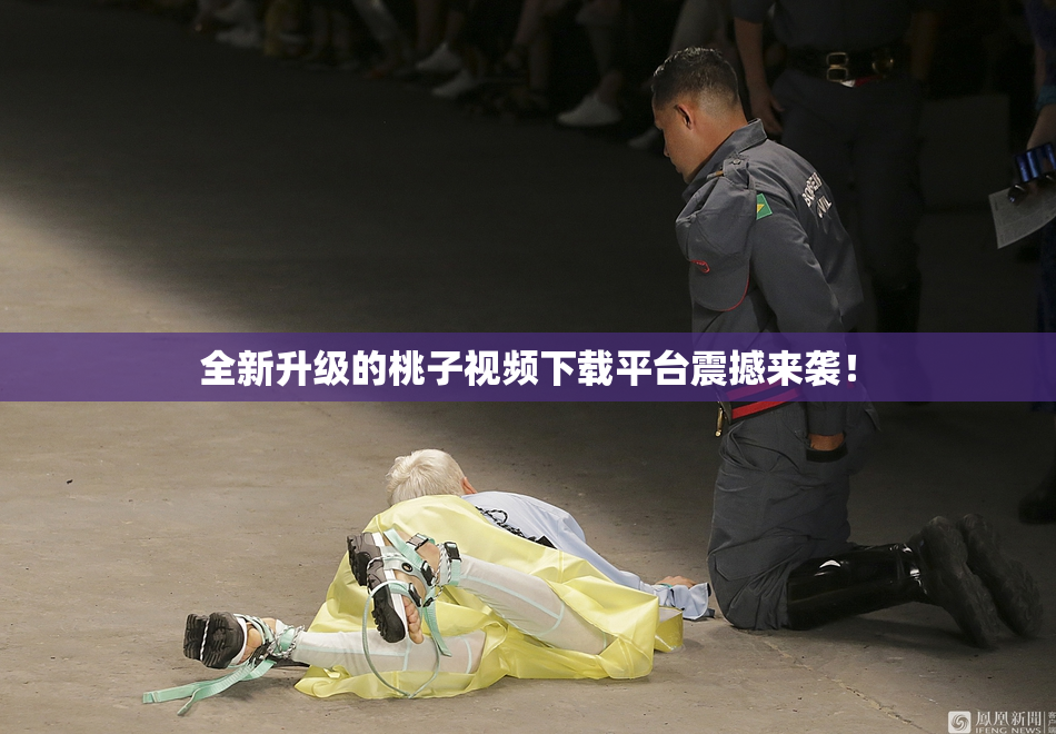 全新升级的桃子视频下载平台震撼来袭！