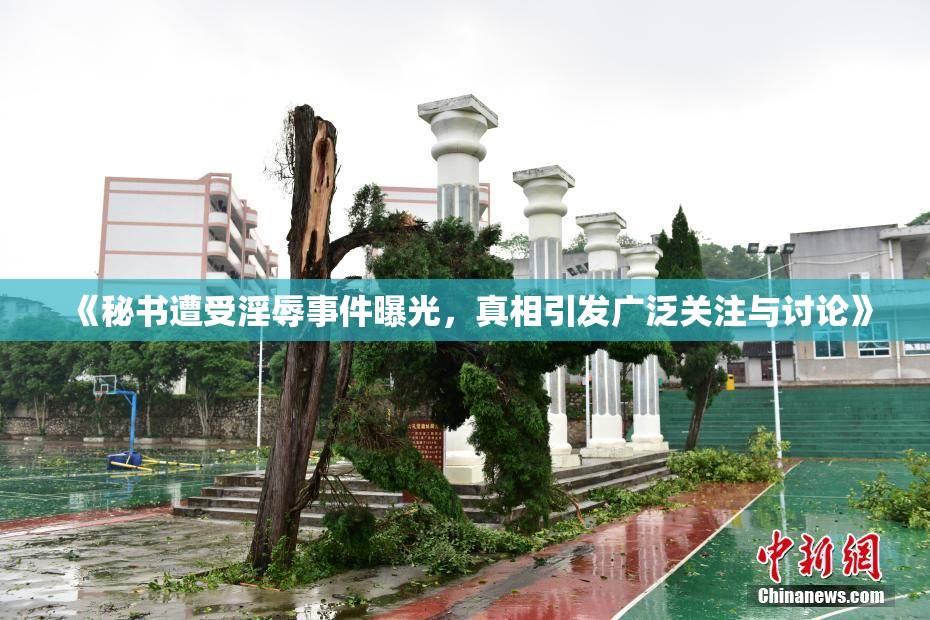 《秘书遭受淫辱事件曝光，真相引发广泛关注与讨论》