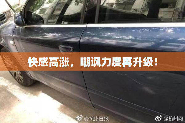 快感高涨，嘲讽力度再升级！
