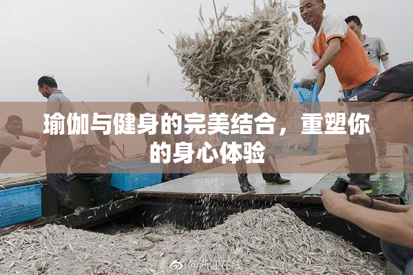 瑜伽与健身的完美结合，重塑你的身心体验