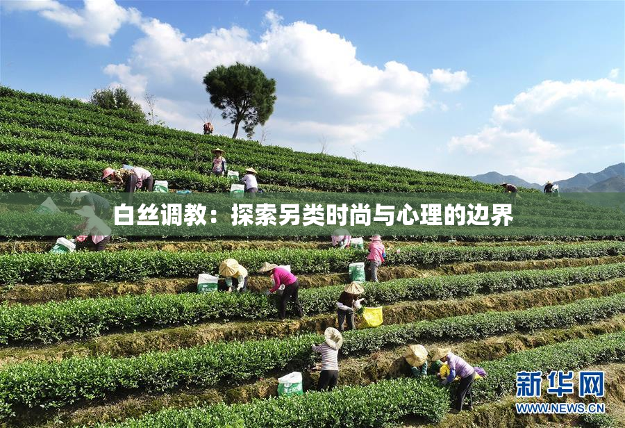 白丝调教：探索另类时尚与心理的边界