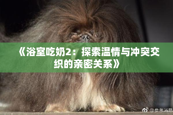 《浴室吃奶2：探索温情与冲突交织的亲密关系》