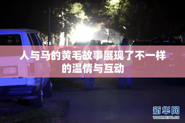 人与马的黄毛故事展现了不一样的温情与互动
