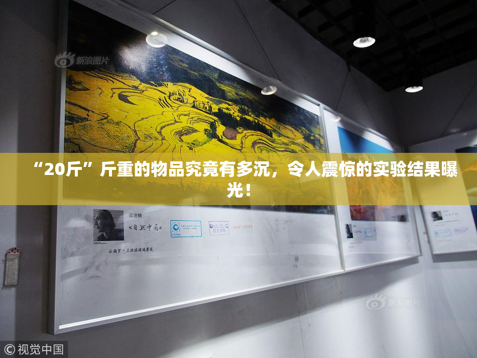 “20斤”斤重的物品究竟有多沉，令人震惊的实验结果曝光！