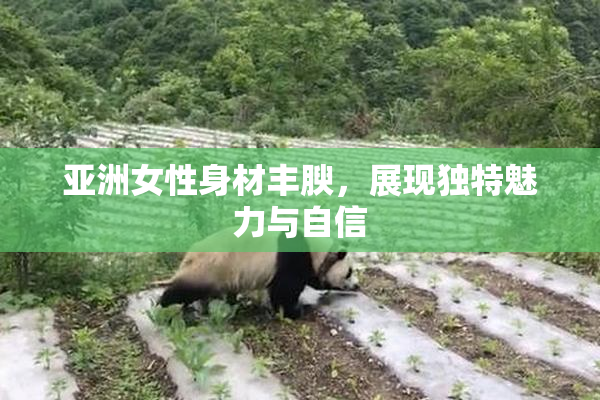 亚洲女性身材丰腴，展现独特魅力与自信