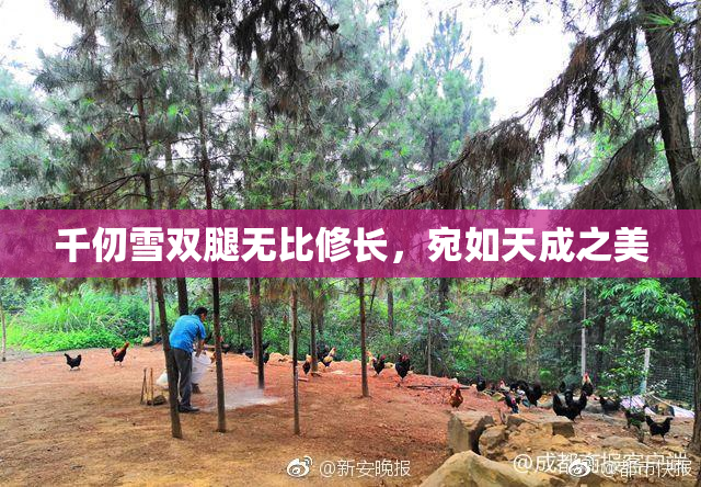 千仞雪双腿无比修长，宛如天成之美