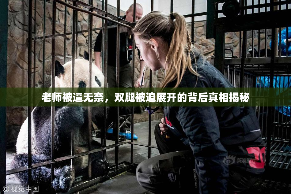 老师被逼无奈，双腿被迫展开的背后真相揭秘