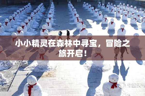 小小精灵在森林中寻宝，冒险之旅开启！