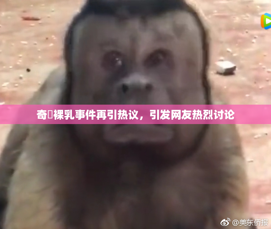 奇犽裸乳事件再引热议，引发网友热烈讨论