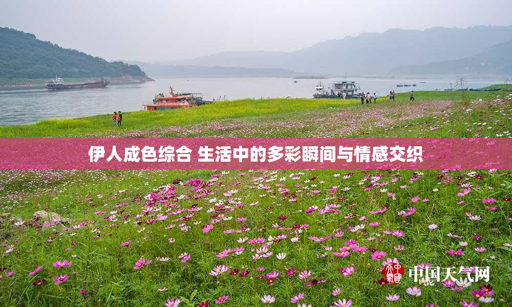 伊人成色综合 生活中的多彩瞬间与情感交织